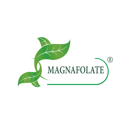 Ce este Magnafolate®? Folat VS Acid folic, care este diferența?