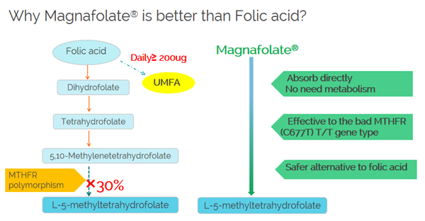 De ce Magnafolatul este mai bun decât acidul folic?