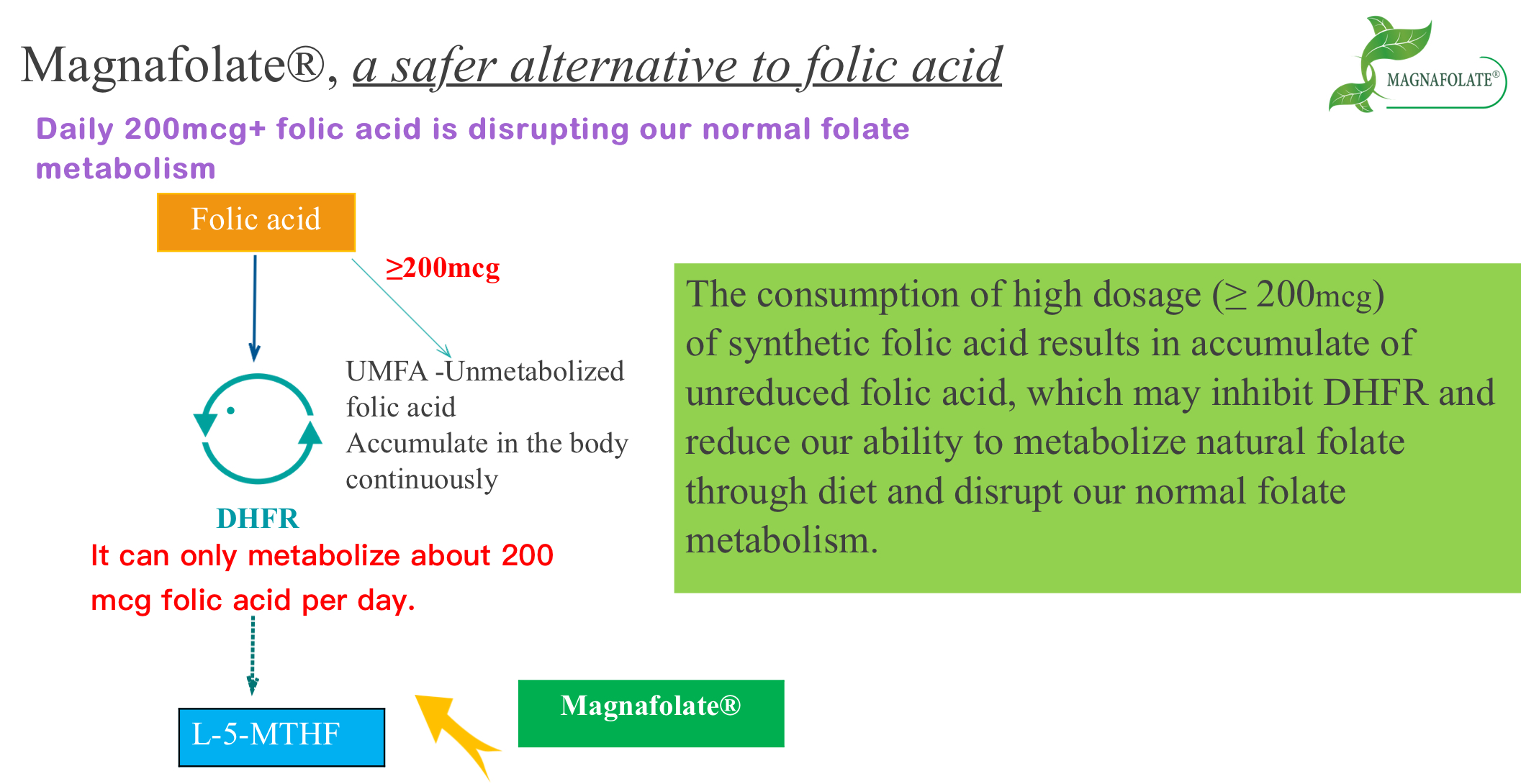 Magnafolat, o alternativă mai sigură la acidul folic