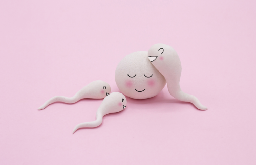 Acidul folic poate îmbunătăți fertilitatea - Magnafolat