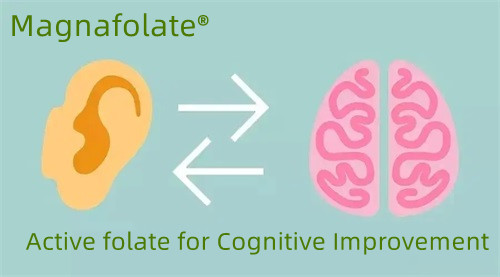 Folat activ pentru îmbunătățirea cognitivă