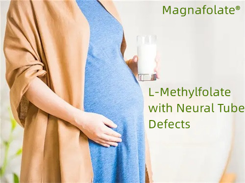 Folat, L-metilfolat cu defecte ale tubului neural