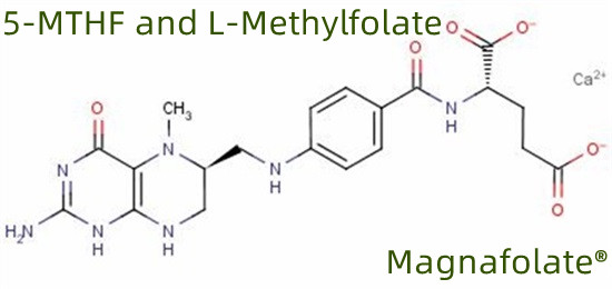 5-MTHF și L-metilfolat
