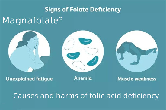 Cauzele și efectele negative ale deficienței de acid folic