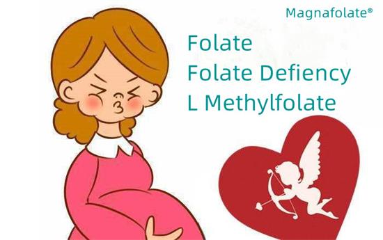 Folat și deficiență de folat