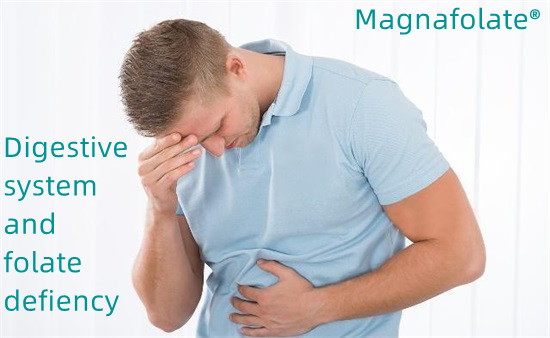 Sistemul digestiv și deficit de folat-Magnafolat