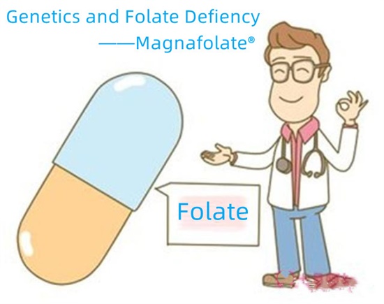 Genetică și deficit de folat-Magnafolat
