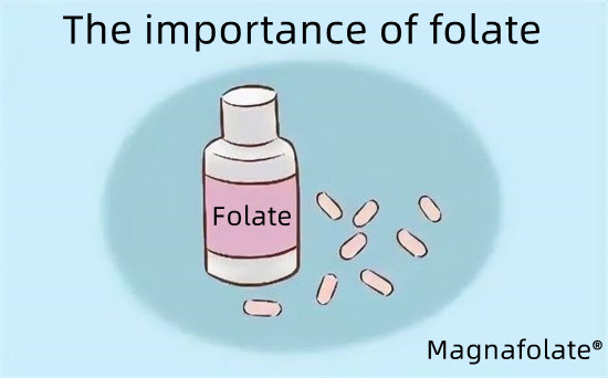 Importanța folat-Magnafolate