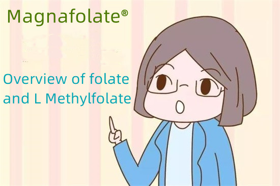 Prezentare generală despre folat și L metilfolat
