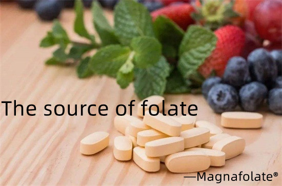 Sursa de acid folic și acid folic