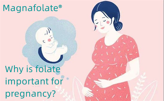 De ce este important acidul folic pentru sarcină?