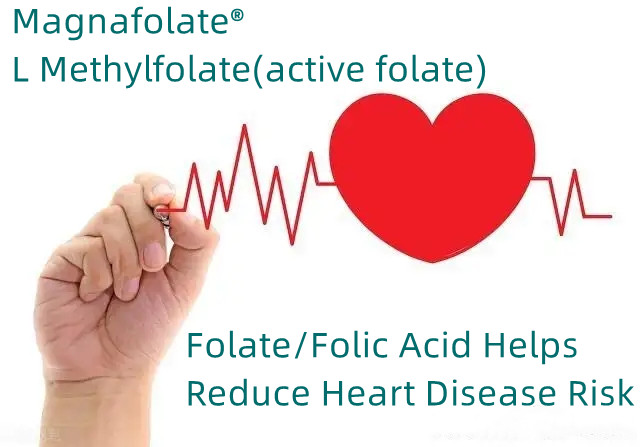 Folatul/acidul folic ajută la reducerea riscului de boli de inimă