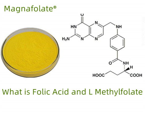 Ce este folatul VS acidul folic VS L-metilfolatul