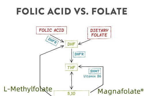 Care este cea mai bună formă de acid folic?