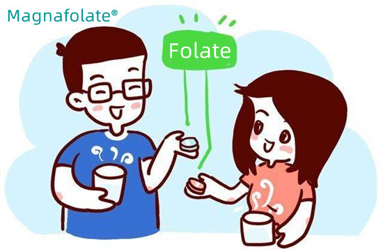 Câți folați ar trebui să luați pe zi?