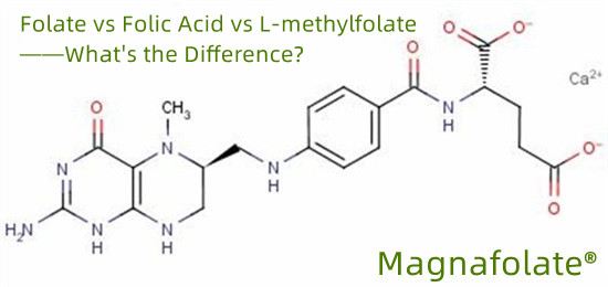 Este metilfolatul o formă de acid folic?