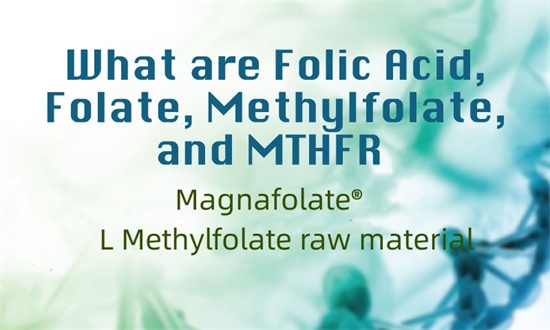 Ce sunt acidul folic, folatul, metilfolatul și MTHFR?