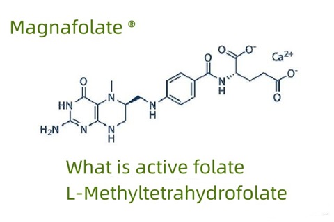 Ce este folatul activ și L-metiltetrahidrofolatul