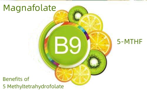 Beneficiile 5 metiltetrahidrofolatului