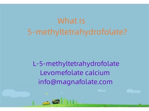 Ce este 5-metiltetrahidrofolatul?