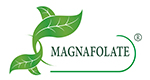Magnafolate® VS acid folic