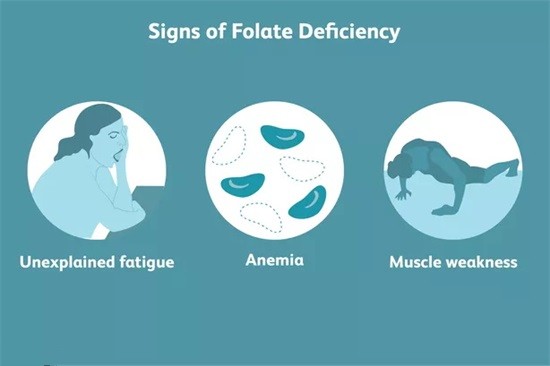 Ce este acid folic și care sunt efectele acestuia?