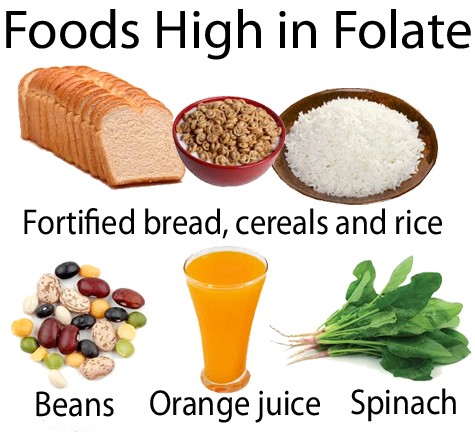Clasificarea acidului folic - acid folic alimentar