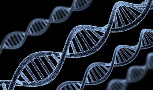 Genotipurile anormale ale enzimelor de metabolizare a folaților sunt cauza principală a tulburărilor de metabolism al folaților