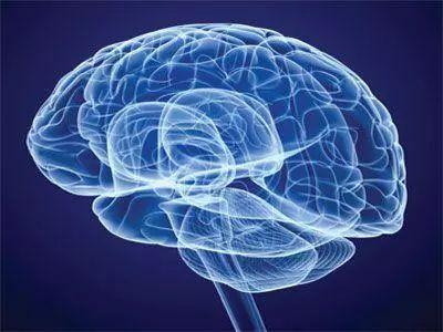 Folatul protejează sistemul nervos și previne demența și Parkinson