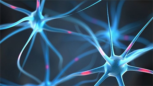 De ce deficitul de folati poate duce la probleme neurologice